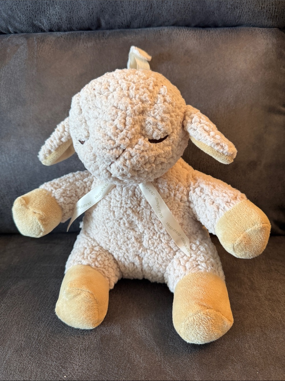 Cloud B Sleep Sheep Plush Lamb Stuffed Animal - White Noise for Baby